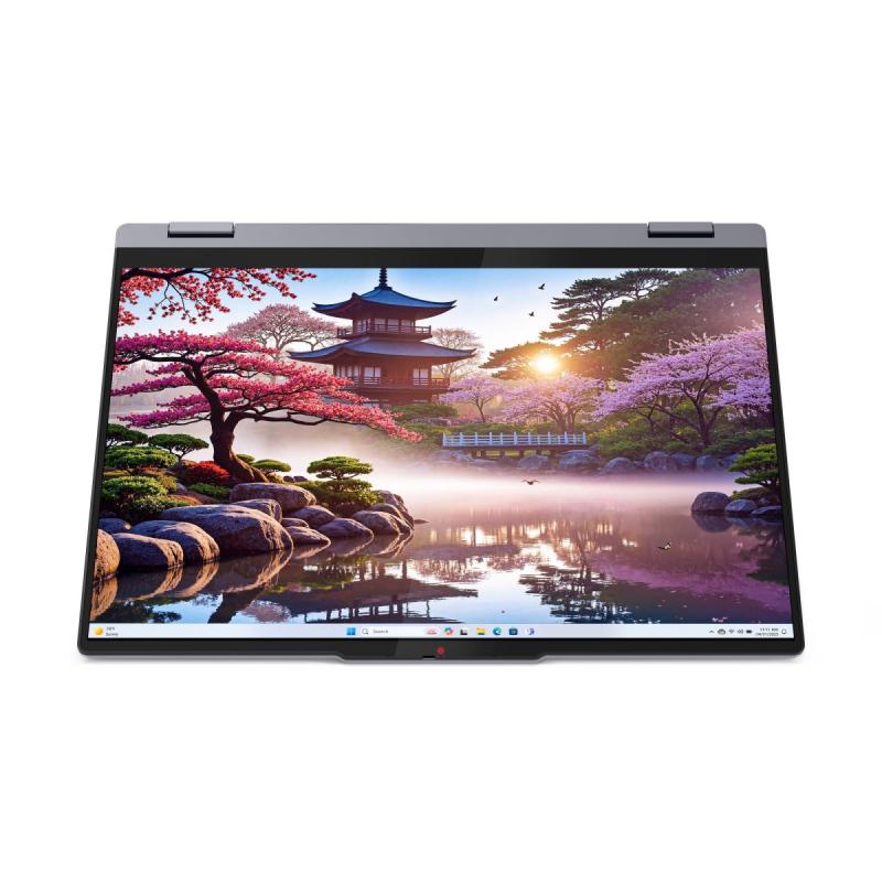 IdeaPad